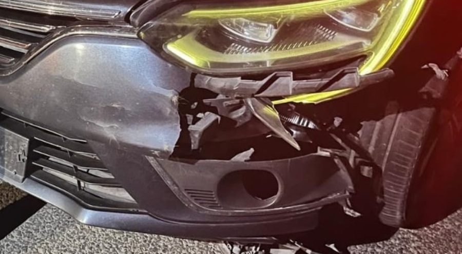 İnegöl'de otomobilin çarptığı ayı telef oldu