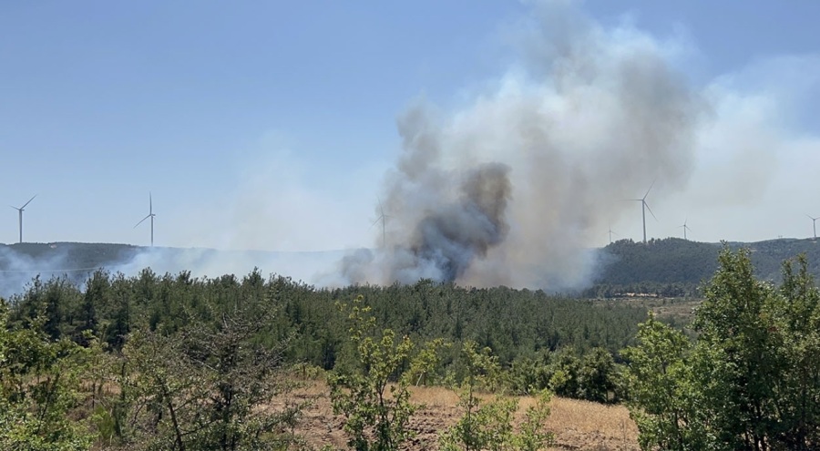 Çanakkale'de orman yangını