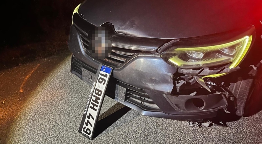 Bursa'da ayı ile çarpışan araç pert oldu, ayı telef oldu