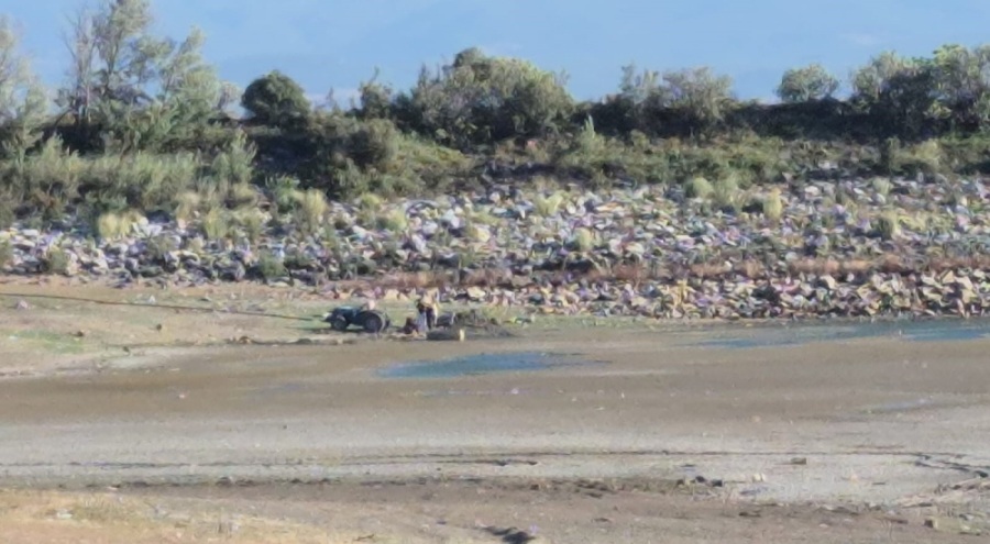 Bursa'da 43 yıldır sulama yapılan gölet kurudu