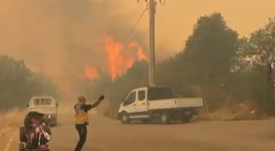 İznik - Karamürsel arasındaki yangın büyüyor