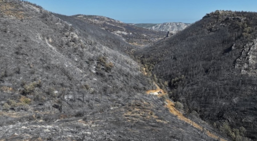 15 bin dönümden fazla alan küle döndü