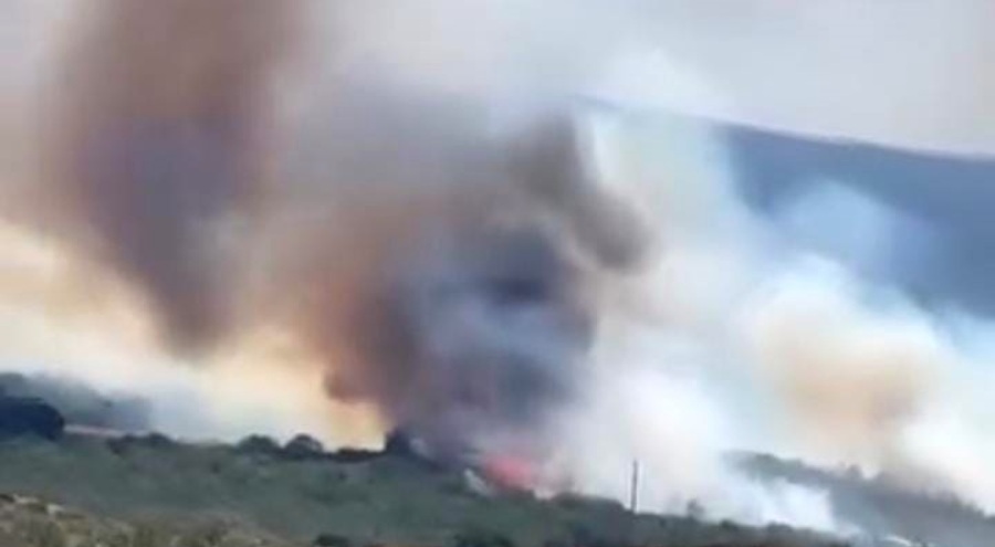 Bursa'da orman yangını, çok sayıda ekip müdahale ediyor