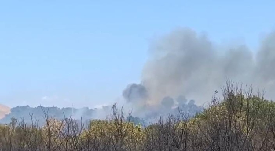 Bursa Nilüfer'deki orman yangını kontrol altına alındı