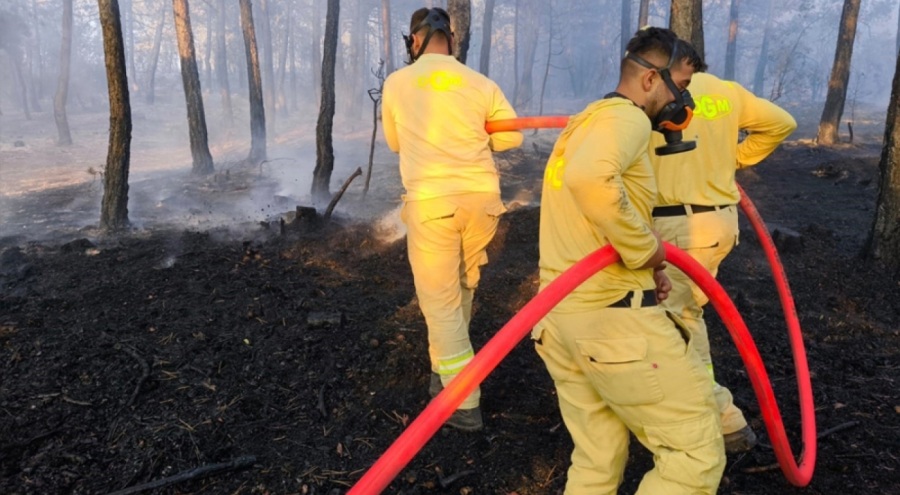 Bolu'da küle dönen 20 hektar ormanda, soğutma çalışması sürüyor