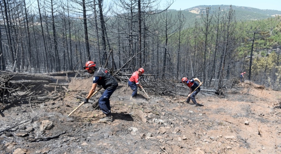 Yangına Karşı OSAD'dan Hızlı ve Koordineli Müdahale