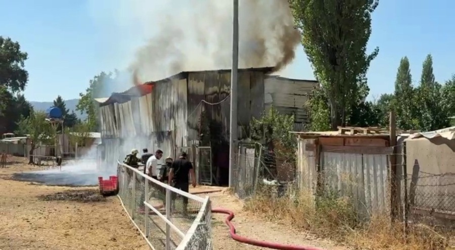 Bursa'da hayvan damı yandı: 1 at, 2 keçi telef oldu