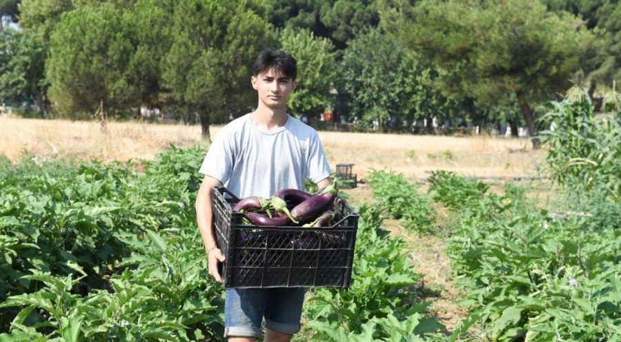 Organik Sebzeler Kent Lokantası'nda Yemeğe Dönüştü