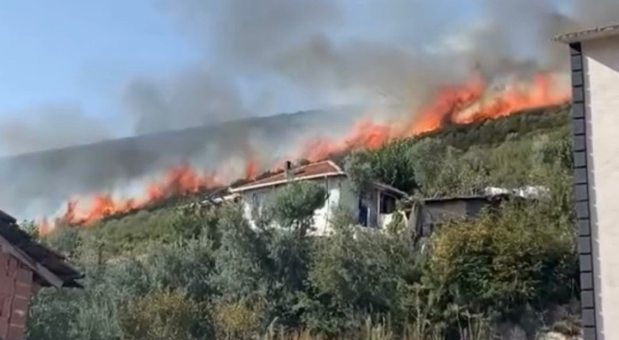 Bursa'da orman yangın!