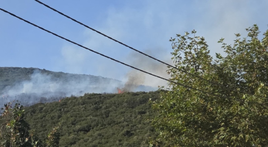 Bursa'daki orman yangını kontrol altına alındı