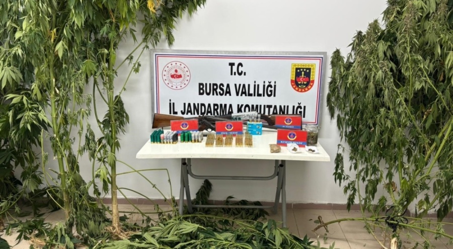Bursa'da jandarmadan uyuşturucu operasyonu: Çok sayıda silah ve mühimmat da ele geçirildi