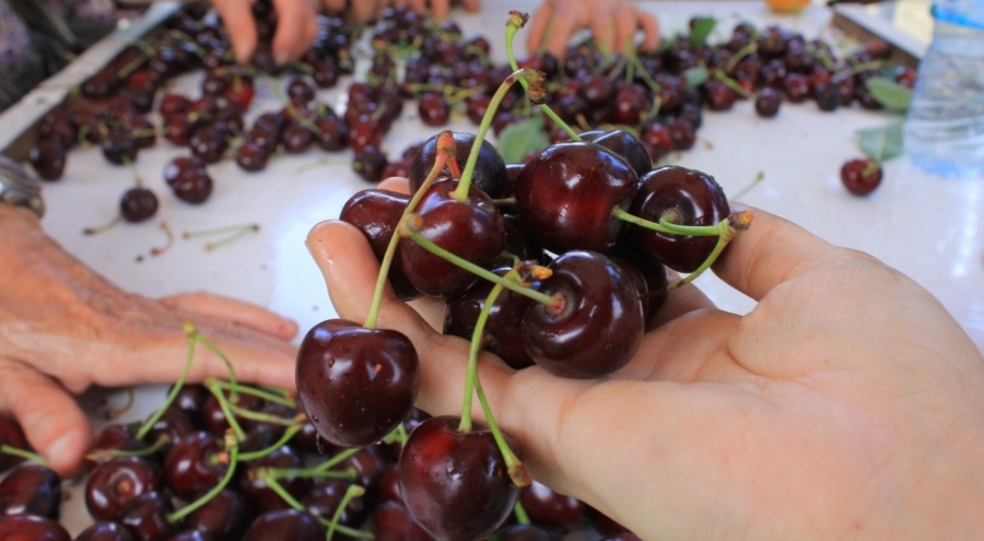 Meyve sebze ihracatçısı ürün eksikliği ve dövizle boğuşuyor