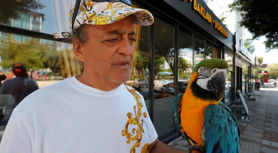 Turgut Özal'ın kaybolan papağanı 3 gün sonra bulundu