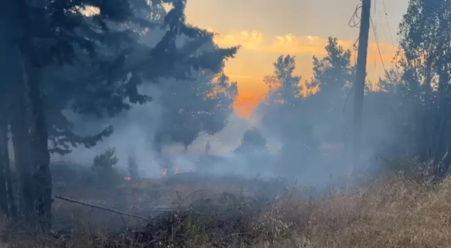 Bursa'da korkutan orman yangını