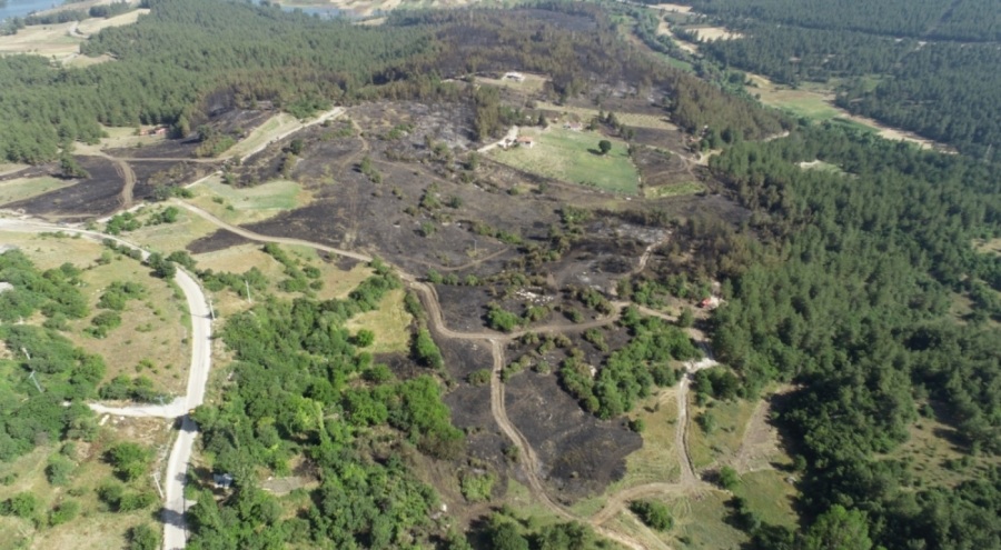 Bursa'da yanan ağaçları tek tek saydılar...Hem havadan hem karadan