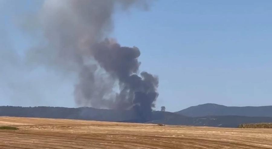 Bursa'da orman yangını...