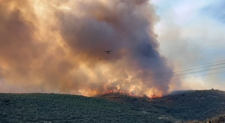 Bursa'da orman yangınıyla amansız mücadele sürüyor