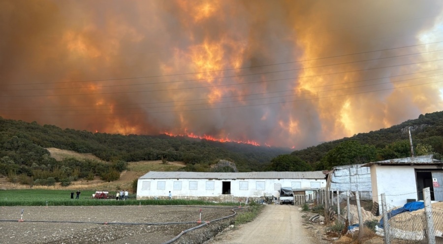 Bursa'da Alevler çiftlikleri tehdit etti, hayvanlar kurtarıldı