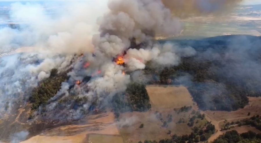 Bursa'daki orman yangını kontrol altına alındı