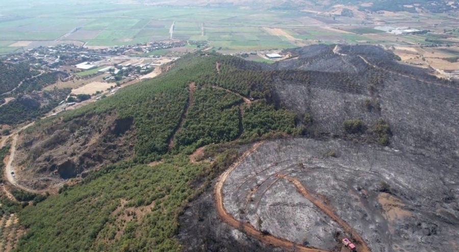 Bursa'da yanan ormandan geriye gri görüntü kaldı