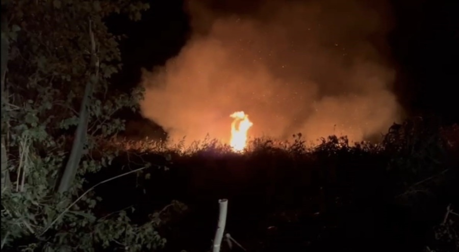 İznik'te korkutan yangın