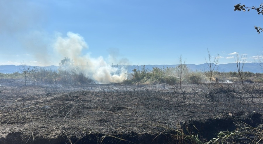 İznik Boyalıca'da sazlık alanda yangın: 100 dönüm alan küle döndü