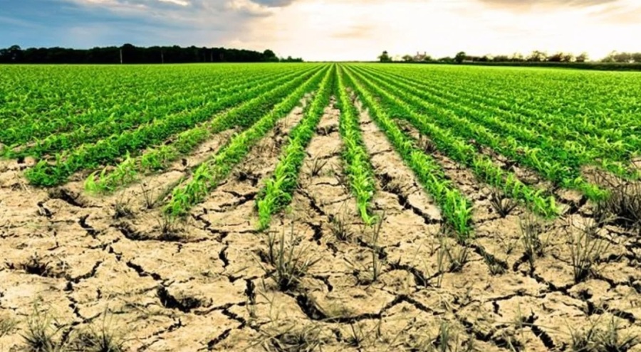 İşlenmeyen araziler kiralama modeliyle kırsal ekonomiye can verecek