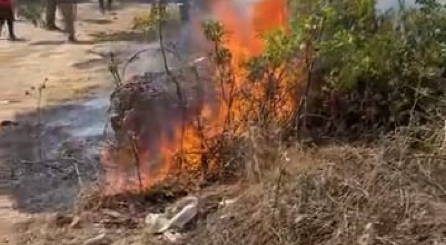 Bursa'da çalılık alanda çıkan korkutan yangın!