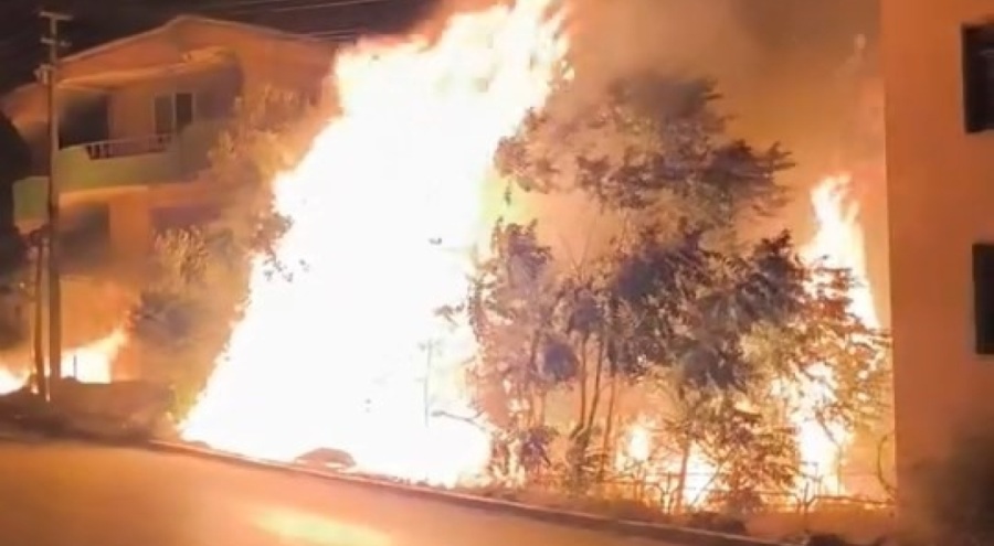 Bursa'da alev alan ağaçlar villaları böyle tehdit etti