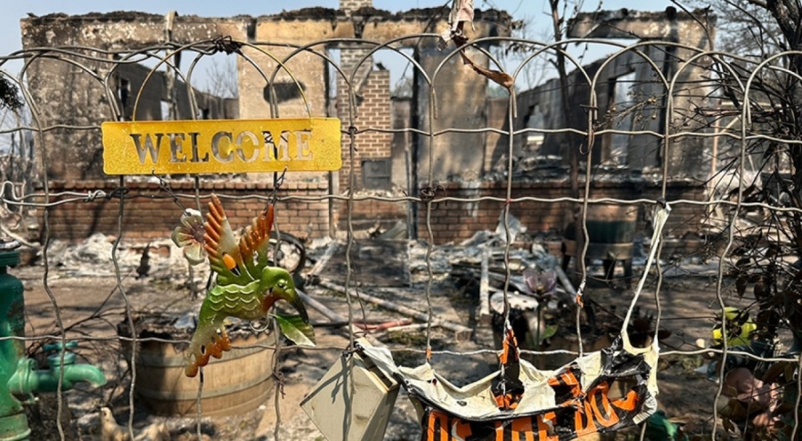 ABD'de orman yangını: 13 bin dönümlük arazi kül oldu