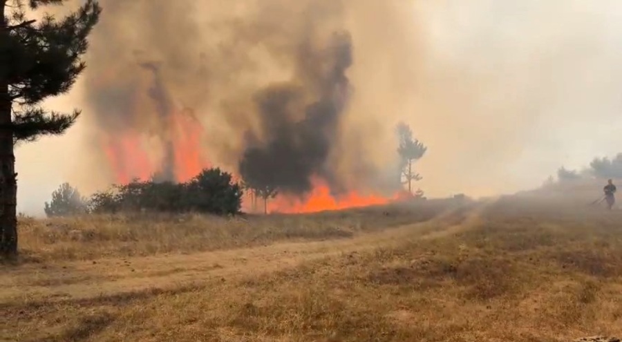 Bursa'da orman yangını!