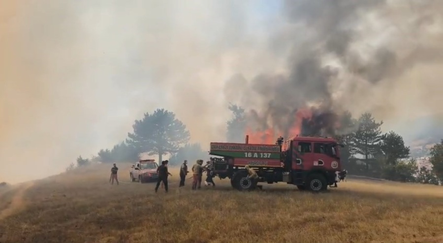 Bursa'daki orman yangını kontrol altına alındı