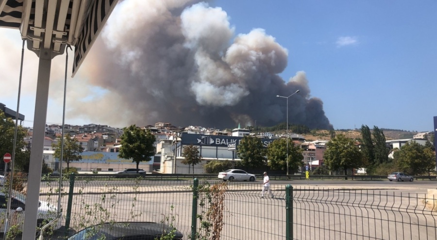 Bursa'da orman yangını