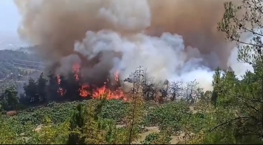Bursa'daki orman yangını büyüyor