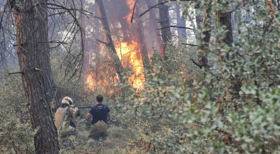 Bursa'daki yangına 3 uçak 11 helikopter ve 242 personel müdahale ediyor