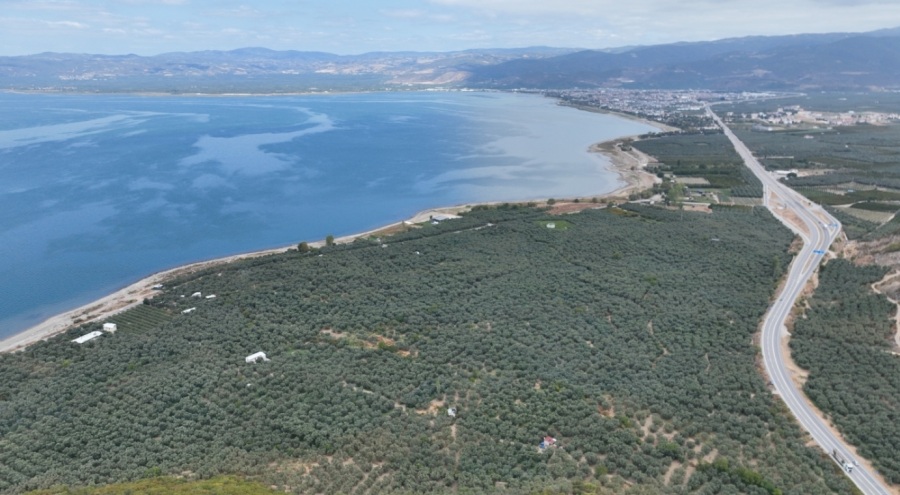 Kuraklık İznik Gölü'nü Tehdit Ediyor: İskeleden Bataklığa