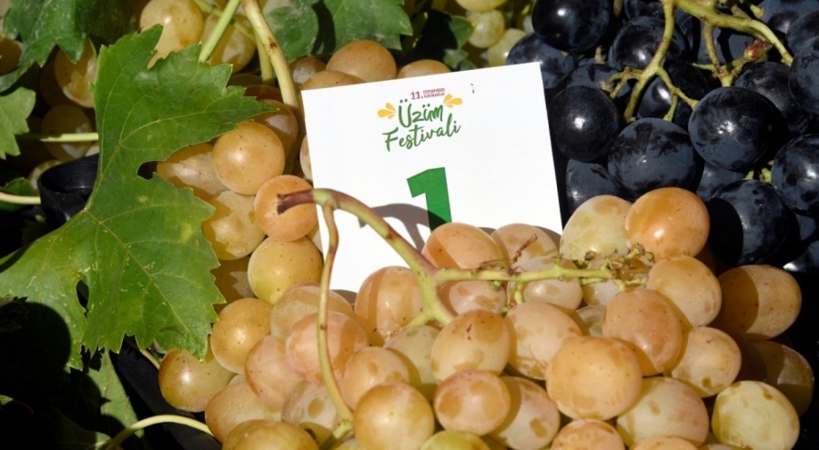 En kaliteli üzümler Osmangazi'de yarıştı