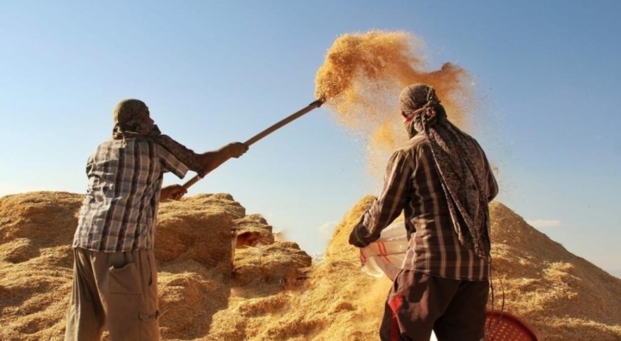 Tarımda girdi fiyatları yıllık yüzde 34,22 arttı