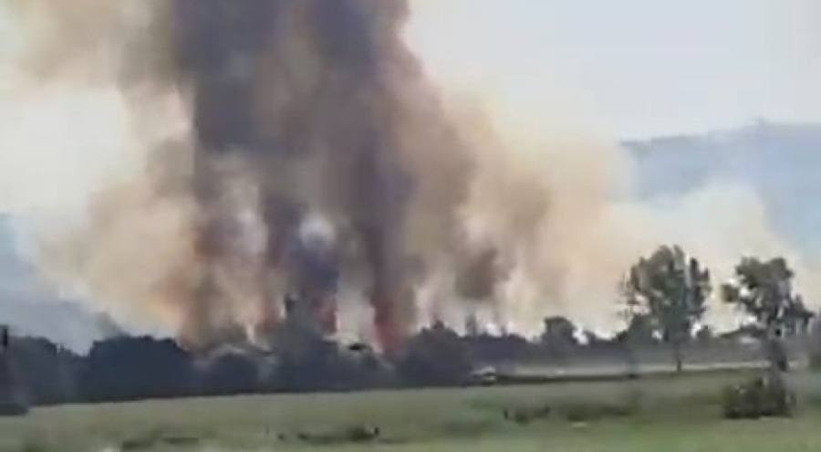 Bursa Yenişehir'de kırsal alanda yangın paniği