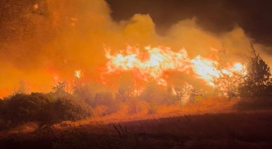 Karacabey'deki orman yangını büyüyor: Köyler tahliye edildi