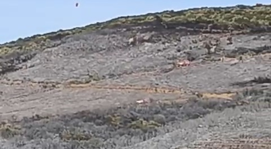 Karacabey'deki orman yangını 16 saatte söndürüldü