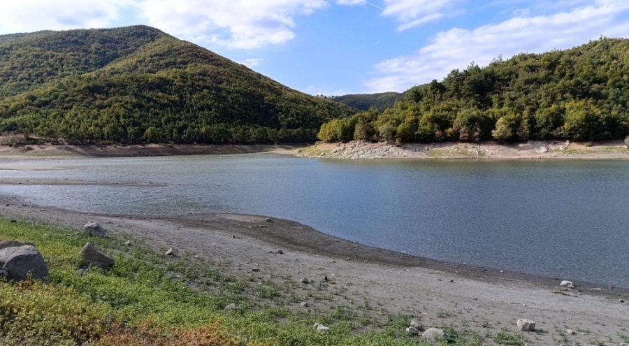 Yenişehir'de gölette balık ölümleri endişe yarattı