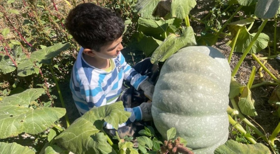 Bursa'da dev kabak sürprizi