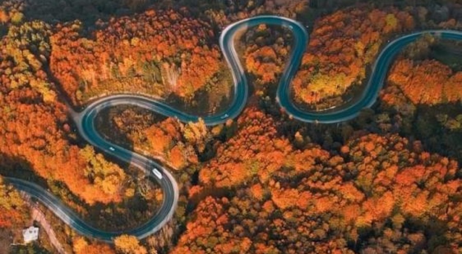 Bursa'da sonbahar cümbüşü