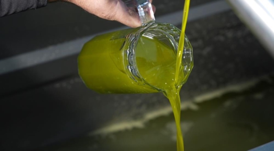 Zeytinyağı muamması?