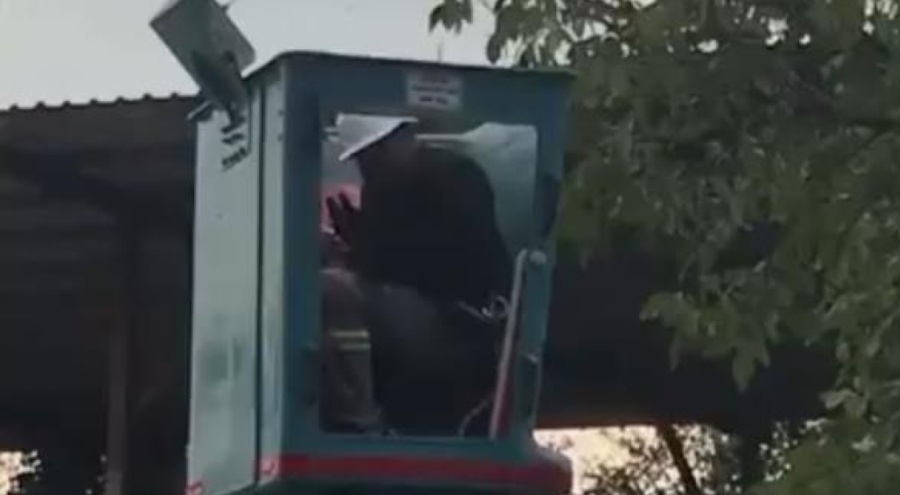 Vinç üstünde arılar saldırdı