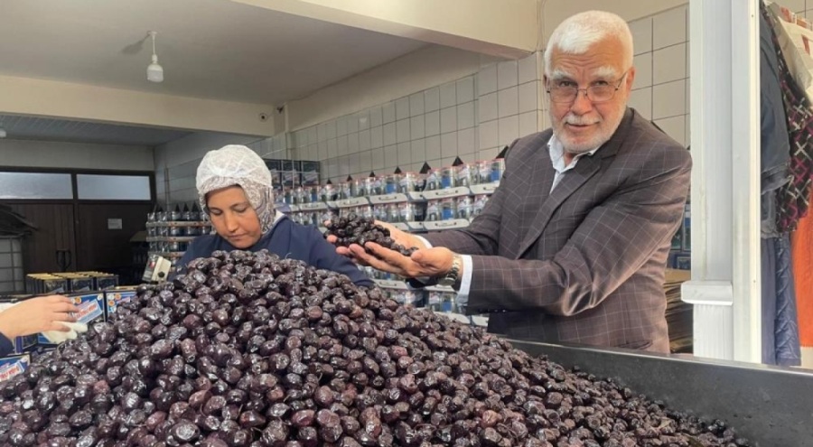 Her 6 sofralık zeytinden birini Bursa ve Balıkesir üretecek