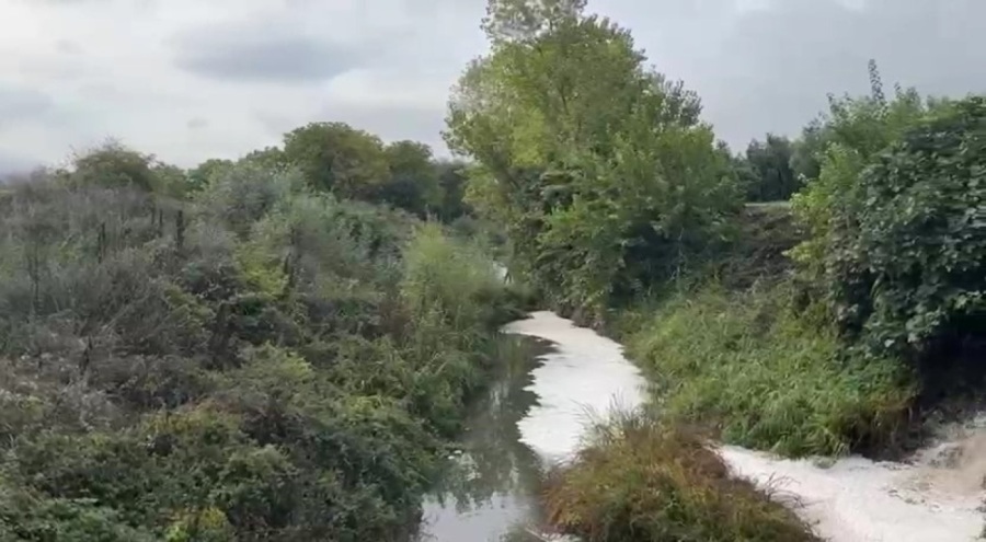 Karsak Deresi'nde kirlilik alarmı! Kirli su Gemlik Körfezi'ne akıyor