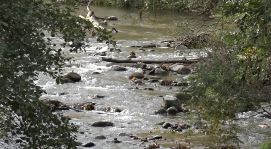 Bursa'da umutlandıran görüntüler... Kuruyan dereler, akmaya başladı!
