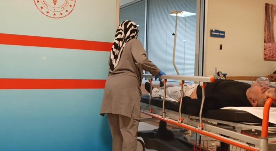 Yediği mantar hastanelik etti